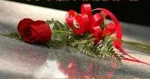 تبریک برگزیدگان مسابقات فرهنگی و هنری  2