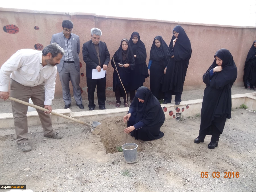 15 اسفند روز درختکاری