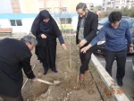 درختکاری اسفند95