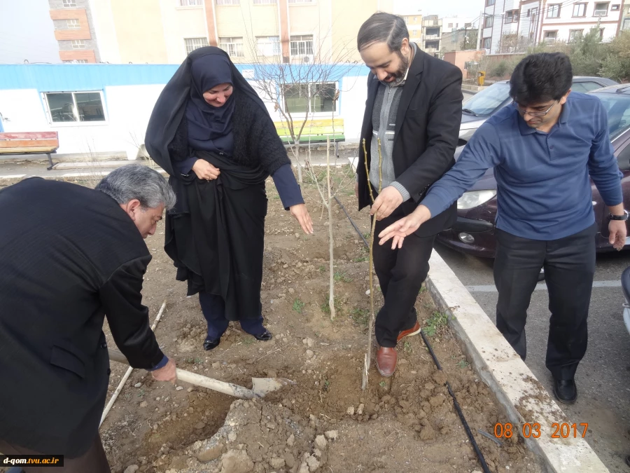 درختکاری اسفند95